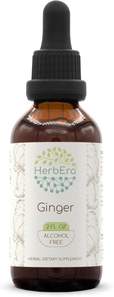 HerbEra Ginger B60 extrato de ervas sem álcool tintura, super concentrado Ginger (Zingiber officinale) 2 fl oz