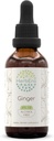 HerbEra Ginger B60 extrato de ervas sem álcool tintura, super concentrado Ginger (Zingiber officinale) 2 fl oz