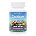NaturalsPlus Animal Desfile Cálcio de crianças sem açúcar, Vanilla Sundae Flavor - 90 Mastigable Animal Shaped Tablets - Magnésio para a saúde óssea - Glúten Livre - 45 Servimentos
