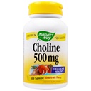 CAMINHO NATUREZA Choline 500mg 100 comprimidos