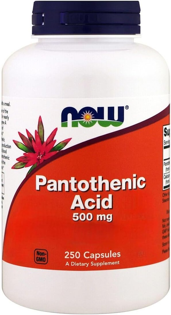 Agora Alimentos, Ácido Pantotênico, 500 mg, 250 Cápsulas