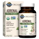 Jardim da Vida Orgânicos Adrenal Equilíbrio diário, Adaptogenic Herbs Ashwagandha, Holy Basil, B Complexo & Probióticos, Orgânico Não-GMO, Vegan, Suplemento sem glúten, Fornecimento de dois meses, 120 comprimidos