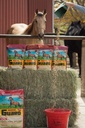 Guarda de Cavalo 4,6 lb, Suplemento Mineral de Vitamina Equina com Selênio Orgânico e Vitamina E