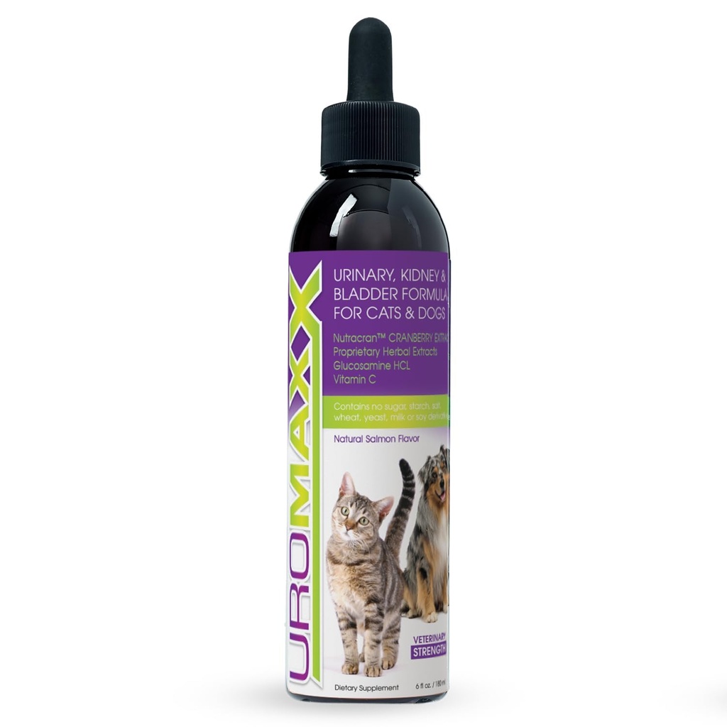 Tratamento Urinário de Gatos e Cachorros, Bexiga e Rim Suporte para Cães e Gatos, Cuidados Poderosos Mas Gentil Pet, com Cranberry líquido e Glucosamina, Sabor de salmão, 6 oz garrafa, 1 embalagem