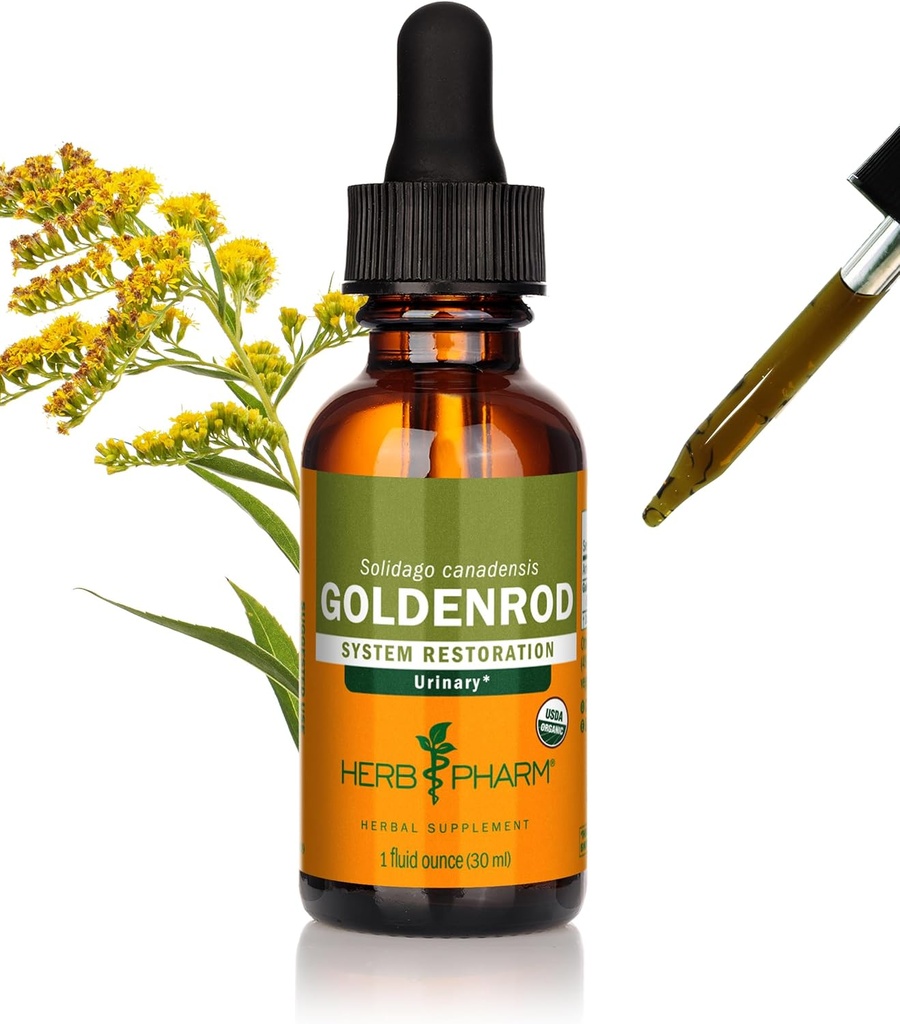Herb Pharm certificado Goldenrod extrato líquido orgânico para suporte do sistema urinário, 1 Fl Oz (Pacote de 1)