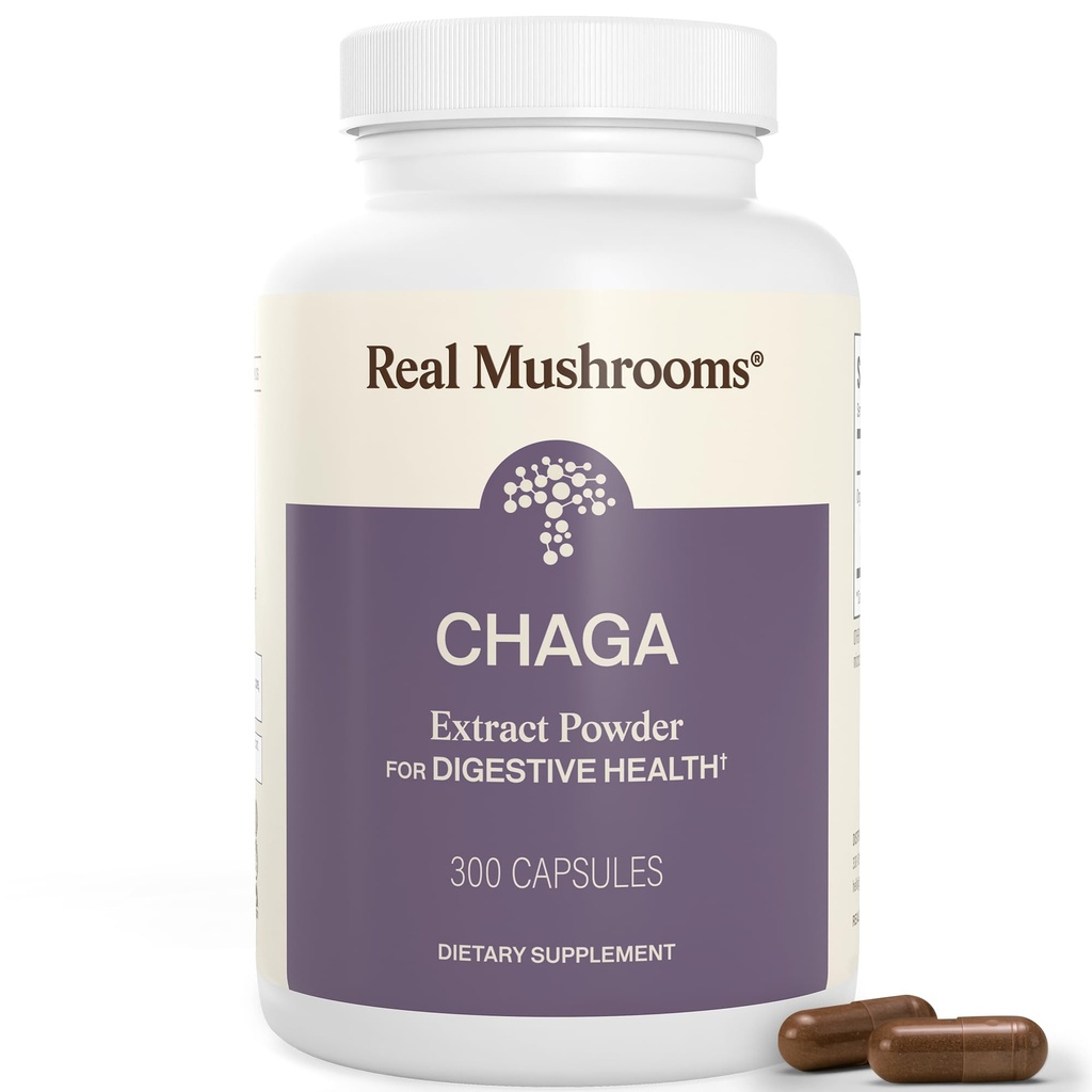 Cogumelos reais Chaga Cogumelos Cápsulas – Extrato de Chaga orgânico em pó com extrato de pó para bem-estar e apoio energético– Vegan, Não-GMO, 300 Cápsulas – Suplemento de cogumelos orgânicos