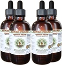 Hawaii Pharm Oregon Grape Alcohol-Free Liquid Extract, Oregon Grape (Mahonia aquifolium) Secado Root Glicerite Natural Herbal Supplement, USA 4x4 fl.oz