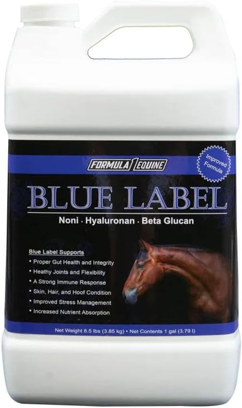 Gallon de rótulo azul