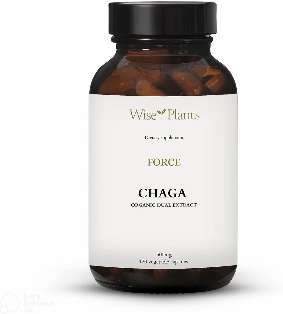 Suplemento de cogumelos Chaga. Extrato duplo, Corpo Puro Frutador, 30% Polissacarídeos, 500 mg, 120 vegecaps (fornecimento de 120 dias). Pode suportar a função digestiva saudável, imune e promover a saúde do coração.