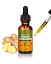 Herb Pharm certificado Ginger Liquid Extract para suporte digestivo - 1 onça