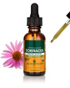 Herb Pharm certificado Echinacea raiz extrato líquido para suporte do sistema imunológico, álcool de cana orgânico, 1 onça (DECH01)