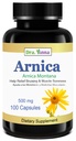 Arnica Montana Cápsulas 500mg 100 Cápsulas