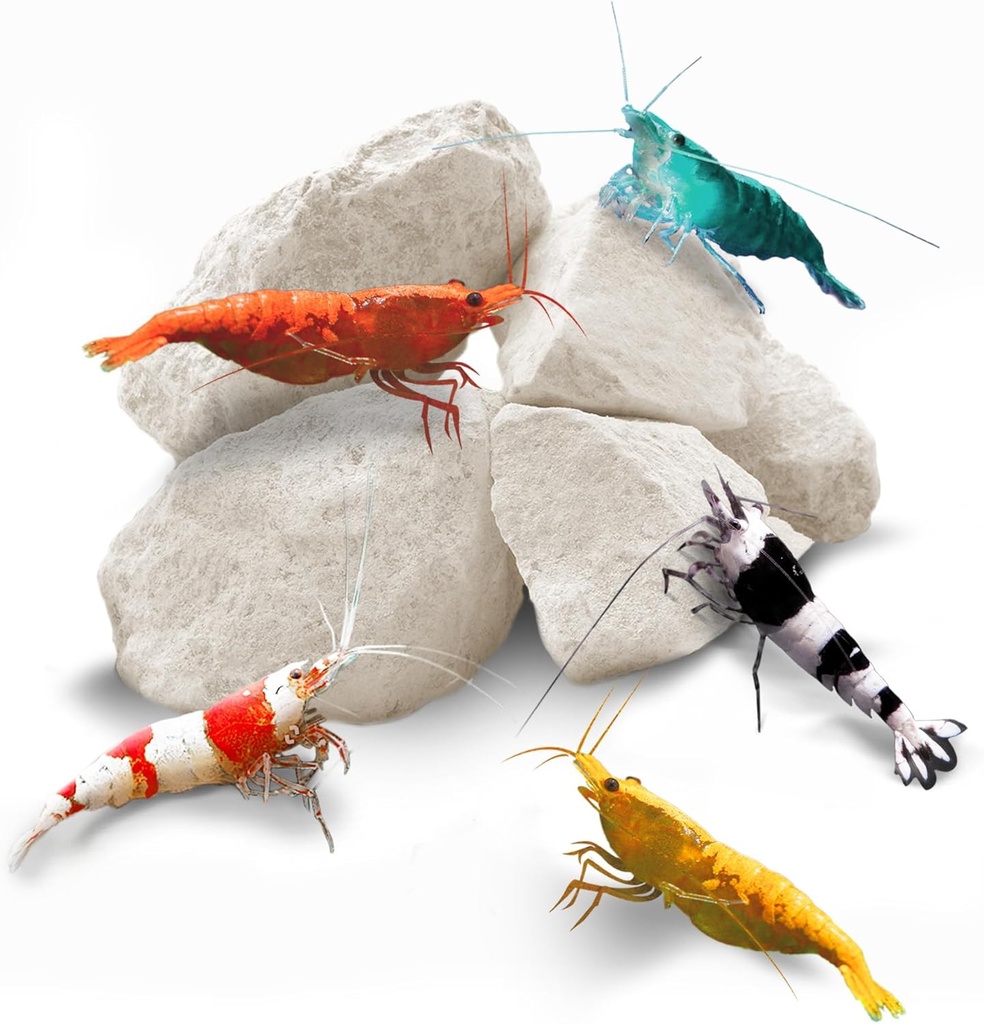 SunGrow Shrimp Rocks, Cálcio, Pedras de Magnésio para Crayfish, Crab Eremita, Caracóis, Cuidados Crustáceos, Decoração de Aquário para Cristal Vermelho, Amano e Camarões Fantasmas, Acessórios Nano Tank, Suprimentos de tanque de peixes