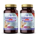 Solgar Kangavites, Bouncin’ Berry Flavor - 120 comprimidos mastigáveis, Pacote de 2 - Multivitamin completo & Fórmula mineral para crianças - Vegan, Glúten grátis