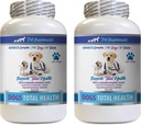 PET SUPLEMENTS & NUTRITION LLC Dog Dental Higiene - Cães Controle de Saúde Total - Suporte Imune - unhas de pele de cabelo Oral Olho Saúde Fórmula - Cálcio oral para cães - 2 garrafas (120 doces)