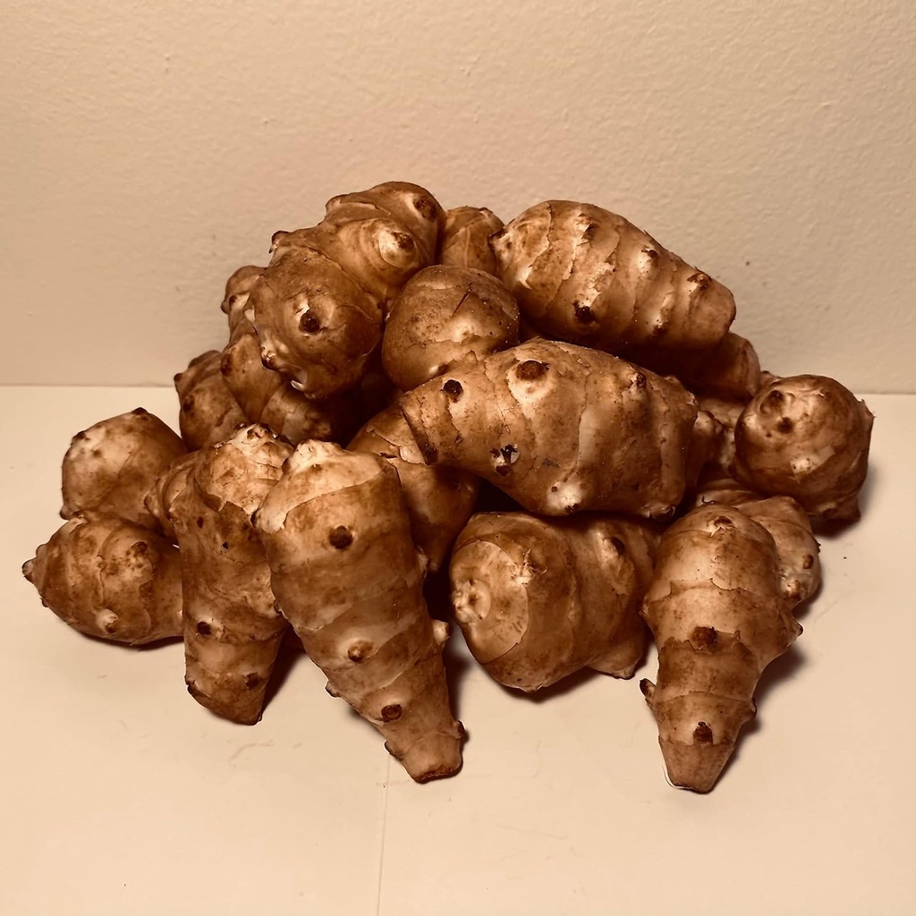Sunchokes - 5 libras (5 lbs) para plantar ou comer FEDEX 2Day