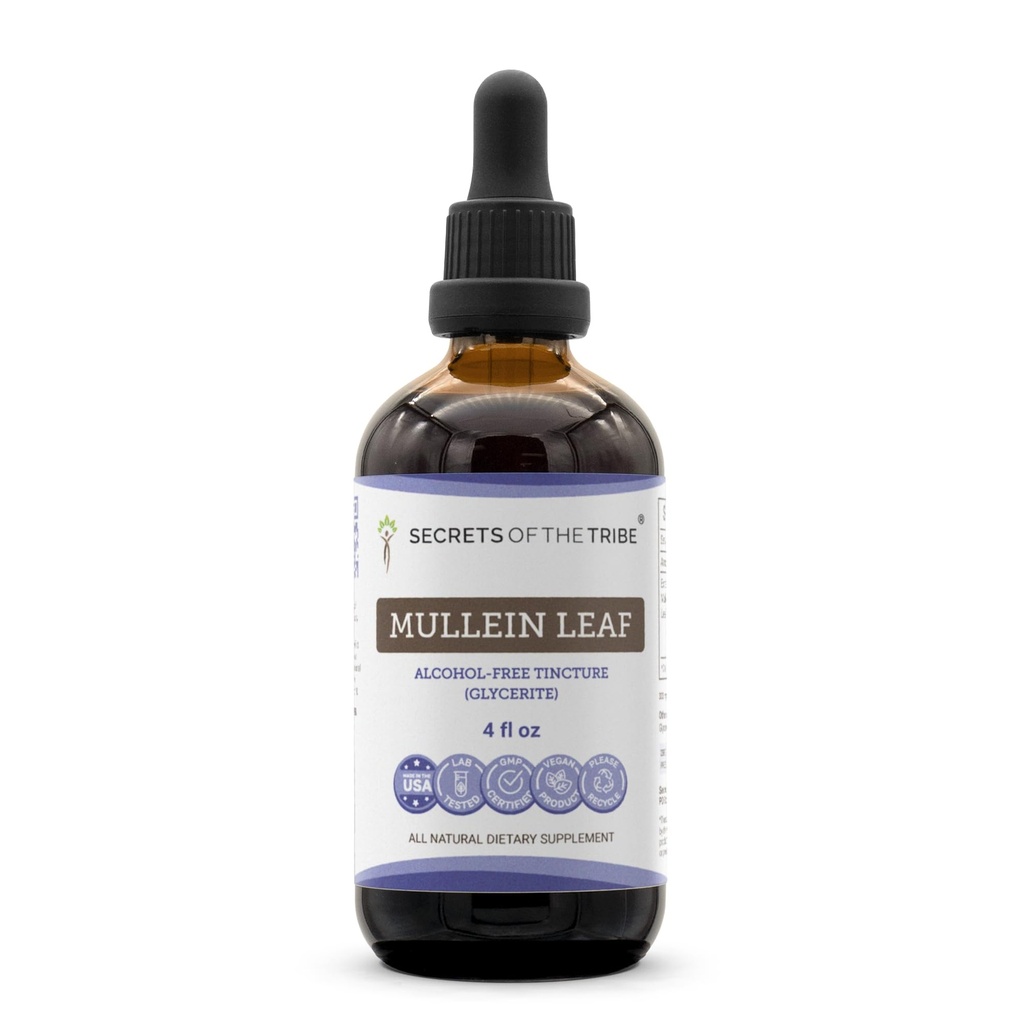 Segredos da Tribe Mullein Leaf Alcohol-Free Liquid Extract, Mullein (Verbascum thapsus) Tintura Suplemento (4 FL OZ)