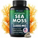 Sea Moss Cápsulas - Irish Sea Moss Avançado com Burdock Root, Bladderwrack & Muira Puama para Imunidade, Gut, & Energy - Superfood Sea Moss Suplementos w/Raw Sea Moss Pó - 120 Pills Irish Seamoss