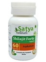 Genérico O r g a n i c Cápsula de Shilajit 60 Servimentos por frasco 500mg ayurvédico sem ingredientes artificiais incluídos (embalagem única)