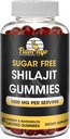 Açúcar sem pastilhas Shilajit (1000mg servindo)- Natural Himalaia orgânico ácido fulvico Shilajit Suplemento para homens e mulheres -60 chiclete mastiga