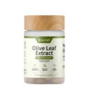 Snap Suplementos Olive Leaf Extract Cápsulas - Super força 40% Oleuropein para apoio ao fluxo de sangue, melhorar a digestão, Antioxidant Boost Suplemento, melhorar a função do cérebro (60 Cápsulas)