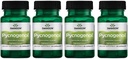 Swanson Pycnogenol 100 Milligrams 30 Cápsulas 4 Embalagem