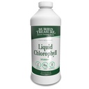Tesouro enterrado Chlorophyll líquido 100 mg, Suplemento dietético, Apoio digestivo intestinal desodorante corpo natural Vegan não-GMO álcool livre, Spearmint flavor 32 onças