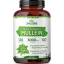 Zazzee Força extra Mullein 10:1 Extrato, 3000 mg Força, 120 cápsulas Vegan, Fornecimento de 4 meses, Extrato 10X padronizado, 100% Pure Leaf Powder, All-Natural e não-GMO, Made in the USA