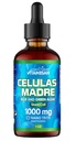 Celulas Madres Suporte Célula-tronco, Baseada em Plantas, Mistura Adaptogen, Cordyceps, Rhodiola Rosea, Afa, Astragalus, Complexo B, Reishi, Ganoderma, Algae Azul-Verde, Spirulina, 1000mg Natural 13 Ingredientes-chave.