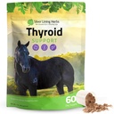 Silver Lining Herbs Thyroid Support for Horses – Herbal Horse Supplement for Normal Thyroid Function, Hormone Balance & Healthy Metabolism with Irish Moss, Kelp, Salsa – 120 dias de fornecimento