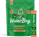Waterboy exercitar a hidratação do açúcar livre de 2,960mg do açúcar eletrolyte pó embaladas de L-Glutamina + Vitaminas, sem açúcar, tudo natural, sem glúten, 15 bebidas Stick Mixes (Fruit Punch)