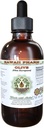 Extrato Líquido sem Álcool, Oliva Orgânica (Olea europaea) Glicerite de Folha Seca Suplemento Natural de Ervas, Hawaii Pharm, USA 2 fl.oz