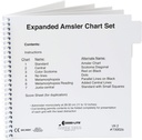 Conjunto de Gráficos de Grelha Amsler, Expandido