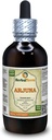 Arjuna (Terminalia Arjuna) Tintura, Extrato Líquido de Bark Secado Orgânico (Nome da marca: HerbalTerra, Proudly made in USA) 4 fl.oz (120 ml)