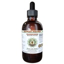 Extrato líquido livre de álcool Frankincense (Boswellia Serrata) Resina seca Glicerita Hawaii Pharm Natural Herbal Supplement 4 oz