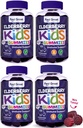 Sentir grandes crianças Elderberry Gummies com zinco e vitamina C (4-Pack) Crianças Imune Support Sambucus Elderberry Gummies □ Berry Flavored Vegan Kids Multivitamins □ 90 Gummies por garrafa