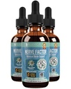 Rejuvica Health NerveFactor - Advanced Nerve Support Supplement - Liquid Delivery for Better Absorção - Acetil-L-Carnitina, Ácido Alfa Lipóico, Vitamina B12, Ácido Fólico, White Willow Bark & More!
