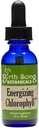 Canção de nascimento Botânicas Energizante clorofila tintura, Super concentrado líquido clorofila gotas, Herbal suplemento de energia de apoio e desodorizante interno, garrafa de sabor de hortelã 1 oz