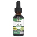 Resposta da natureza Extrato de Alfalfa Herb livre de álcool, 1-Fluid Ounce suporta sistema imunológico, sangue, digestão, níveis de energia - Ajuda com a desintoxicação