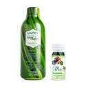 Univera para ir Pack Aloe Vera Juice, Orgânico Aloe Vera, Mango Flavor Xtra Minis, Complexo de frutas multiminerais, 15 Ingredientes Naturais,