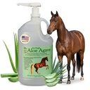 Aloe Vera do Dr. Hoag+Agave Premium Horse Supplement – Made in USA – Original Udder Balm – Natural Gastric Support for Horses & Large Animals – Stress Relief & Ulcer Care, 128 Fl Oz.