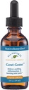 Remédios nativos Got-Gone - Fórmula homeopática natural para o inchaço articular, vermelhidão e desconforto de Got - 59 mL