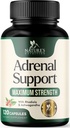 Suplementos de suporte adrenal Cortex Complex, Melhor Suplemento Energético, Suporta níveis de Cortisol Saúde & Energia, diário Ashwagandha para mulheres e homens, Suporta Fadiga Adrenal & Sistema Imune, 120 Cápsulas