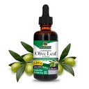 Resposta da natureza Extrato de folha de azeitona, Alcohol-free, Não-GMO, Vegan, Gluten-Free, Made in USA, 2 Ounce .