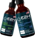 E2H: Clorofila Líquida e Extrato de Groselha Negra Natural □ Vegan, Não-GMO - 2 Fl Oz Cada (4 Fl Oz Total) - Pacote