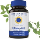 Rejuvenescimento Terapêuticas de alta potência Cápsulas de ácido elágico 250mg Melhorar Imunidade e Eliminar Estresse Oxidativo Premium Orgânico e Vegan 30 Cápsulas 250 mg