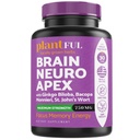 Nootropic Brain Supplement For Focus, Energy, Memory & Clarity Impulsionamento rápido Vitaminas cerebrais para adultos – Nootropics Pills With Ginkgo Biloba, St Johns Wort, Bacopa Monnieri