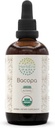 HerbEra Bacopa A120 USDA Tintura Orgânica Extrato de Álcool, Drops de Ervas de Alta Potência, Relaxamento, Efeito Cognitivo Positivo