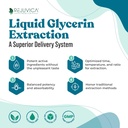NerveFactor - suplemento de suporte avançado do nervo - entrega líquida para melhor absorção - acetil-L-carnitina, ácido alfa lipoico, vitamina B12, ácido fólico, casca de salgueiro branco e mais!