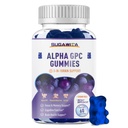 Alpha GPC Colina Gummies 600mg com Phosphatidylserina & Bacopa – 3-em-1 Suporte ao cérebro para memória, foco e saúde cognitiva de longo prazo – livre de açúcar, fórmula natural, 60 contagem
